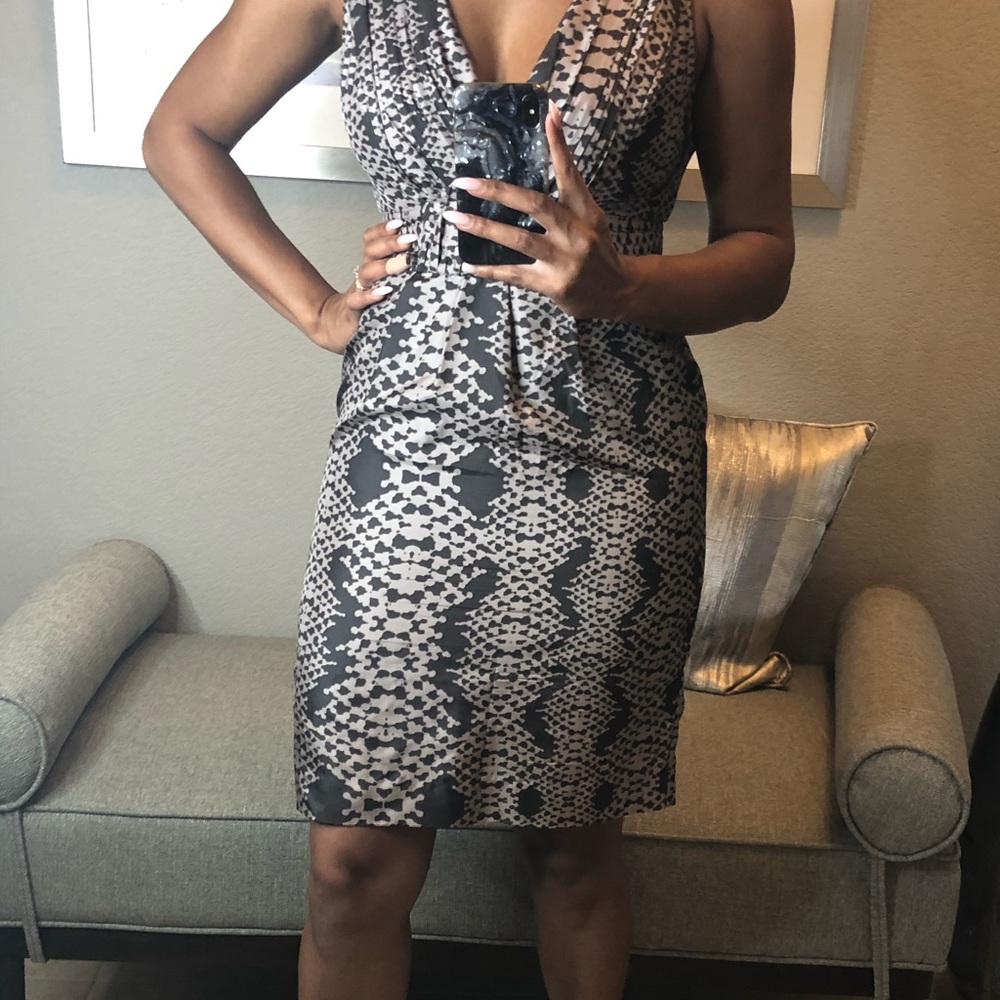 EUC BANANA REPUBLIC Printed Silk Pencil Dress